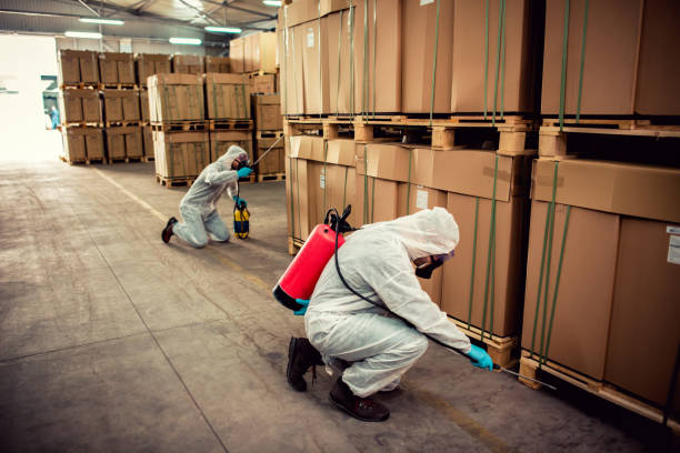 Best Mosquito Control Services  in Buena Park, CA