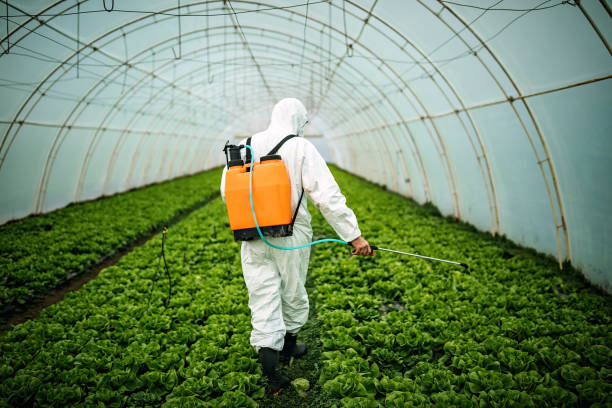 Best Pest Control Cost  in Buena Park, CA