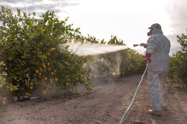 Buena Park, CA Pest Control Pros