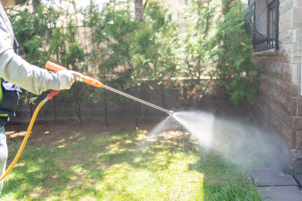 Best Termite Control Services  in Buena Park, CA